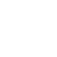 Logo Ivan Preabianca
